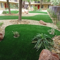 Artificial Grass Carpet Freedom, California Landscaping, Commercial Landscape