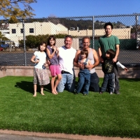 Artificial Grass Carpet Manteca, California Landscape Design, Commercial Landscape