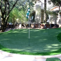 Artificial Grass Carpet Pioneer, California Paver Patio, Backyard Landscaping