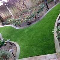 Artificial Grass Carpet Prunedale, California Landscape Ideas, Backyard Makeover