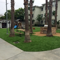 Artificial Grass Carpet Tuttle, California Garden Ideas, Commercial Landscape