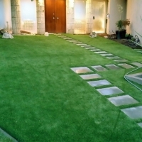 Artificial Grass Installation Drytown, California Landscape Design, Front Yard Landscaping Ideas