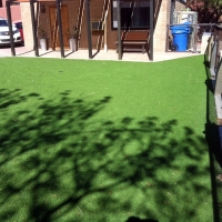 Artificial Grass Installation Farmington, California Landscape Photos, Backyard Landscape Ideas