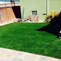 Artificial Grass Lincoln Village, California Dog Pound, Backyard Ideas