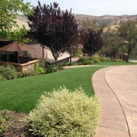 Artificial Grass Shackelford, California Design Ideas, Landscaping Ideas For Front Yard