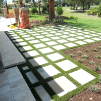 Artificial Lawn Moss Landing, California Roof Top, Backyard Design