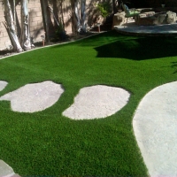 Artificial Turf Cost Groveland, California Garden Ideas, Backyard Landscaping