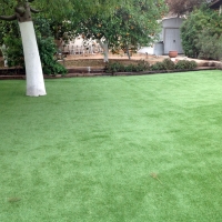 Artificial Turf Cost Mount Hermon, California Garden Ideas, Backyard