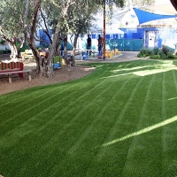 Artificial Turf Cost Sutter Creek, California Landscape Ideas, Commercial Landscape