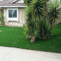 Artificial Turf Golden Hills, California Landscape Photos, Landscaping Ideas For Front Yard