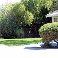 Artificial Turf Installation Bear Valley, California Landscape Photos, Front Yard Landscaping