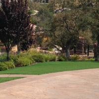 Artificial Turf Installation Fellows, California Landscaping, Backyard Landscaping