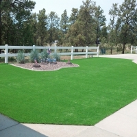 Artificial Turf Installation Three Rocks, California Landscape Ideas, Front Yard Landscaping Ideas