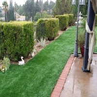 Artificial Turf Installation Topaz, California Landscape Design, Backyard Designs