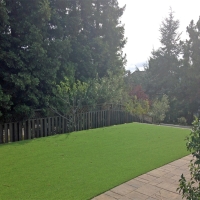 Artificial Turf Union City, California Lawns, Backyard Landscape Ideas