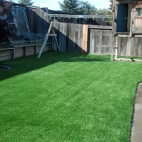 Best Artificial Grass Amador City, California Design Ideas, Backyard Landscaping