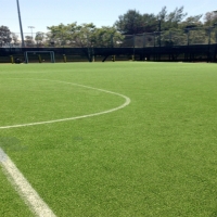 Best Artificial Grass Volta, California Sports Turf