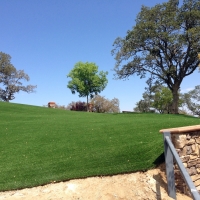 Fake Grass Carpet Greenfield, California Lawns, Landscaping Ideas For Front Yard