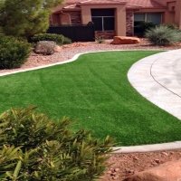 Fake Grass Carpet Mono City, California Lawn And Garden, Front Yard Landscape Ideas