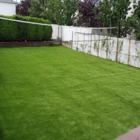 Fake Grass Cold Springs, California Design Ideas, Small Backyard Ideas