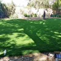 Fake Lawn Brookdale, California Home And Garden, Backyard Landscape Ideas