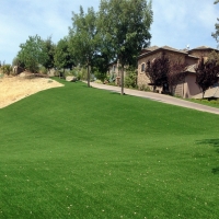 Fake Lawn Dixon Lane-Meadow Creek, California Garden Ideas, Landscaping Ideas For Front Yard