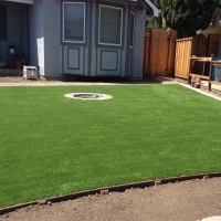 Fake Turf San Simeon, California Landscaping Business, Backyard Landscaping Ideas