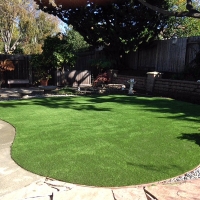 Fake Turf Santa Margarita, California Roof Top, Backyard Landscaping Ideas