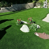 Grass Carpet Ben Lomond, California Landscape Ideas, Front Yard Design