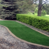 Grass Carpet Coarsegold, California Landscape Ideas