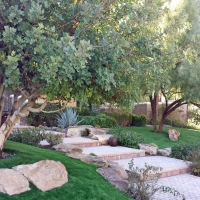 Grass Carpet Dustin Acres, California City Landscape, Backyard Designs