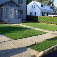 Grass Carpet Marina, California Home And Garden, Front Yard Landscaping Ideas