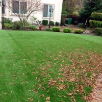 Grass Carpet Oakhurst, California Gardeners, Backyard Ideas