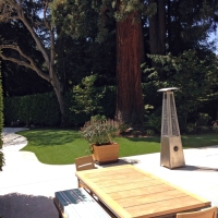 Grass Carpet Pollock Pines, California Landscape Ideas, Small Backyard Ideas