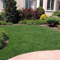 Grass Installation Earlimart, California Landscaping Business, Front Yard Landscaping Ideas