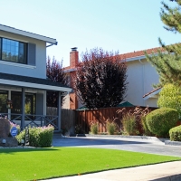 Grass Turf Alpaugh, California Design Ideas, Front Yard Landscaping Ideas