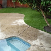 Grass Turf Atwater, California Landscape Photos, Small Backyard Ideas