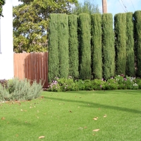 Grass Turf Greenfield, California Garden Ideas, Front Yard Landscaping Ideas