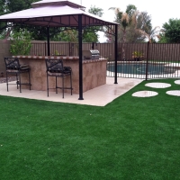 Grass Turf Hartland, California Landscaping Business, Backyard