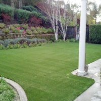 Grass Turf Lathrop, California Grass For Dogs, Backyard Ideas