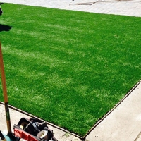 Grass Turf Mettler, California Landscape Ideas