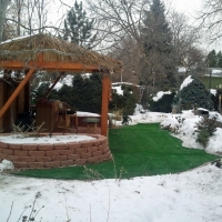 Grass Turf Peters, California Rooftop, Backyard Design