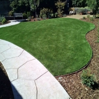 Grass Turf Valley Acres, California Rooftop, Front Yard Landscape Ideas