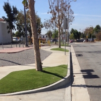 Green Lawn Corcoran, California Garden Ideas, Commercial Landscape