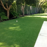 Installing Artificial Grass San Lorenzo, California Cat Playground