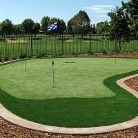 Lawn Services Camanche Village, California Diy Putting Green, Backyard Designs