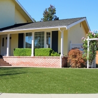 Lawn Services Keeler, California Landscaping Business, Front Yard Landscape Ideas