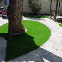 Lawn Services Rosedale, California City Landscape, Backyard Landscape Ideas