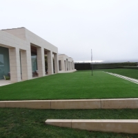 Plastic Grass Friant, California Home And Garden, Commercial Landscape