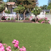 Plastic Grass Palo Alto, California Design Ideas, Front Yard